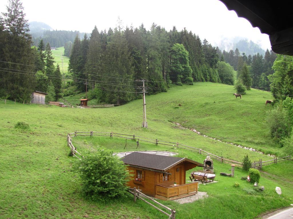 Haus Wallinger Abtenau Exterior photo